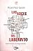 Las voces del laberinto: Casos reales de esquizofrenia