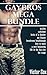 Gaybros Mega Bundle