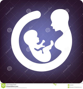 Kasr El-Aini essentials of obstetrics