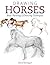 Drawing Horses: Basic Drawi...