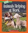 Animals Helping at Work (A True Book: Animal Helpers) (Library Edition)