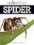 Spider (Grow With Me)