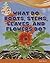 What Do Roots, Stems, Leaves, and Flowers Do? (The World of Plants)