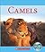 Camels (Nature's Children)