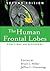 Tghe Human Frontal Lobes: Functions and Disorders
