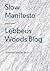Slow Manifesto by Lebbeus Woods