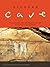 Picture Cave: Unraveling th...
