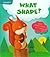 Smarty What Shape? (Board Book)