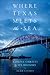 Where Texas Meets the Sea by Alan Lessoff