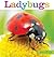 Ladybugs (Seedlings)