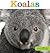 Koalas (Seedlings)