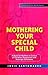 Mothering Your Special Child: A Book for Mothers or Carers of Children Diagnosed with Asperger Syndrome
