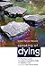 Speaking of Dying: A Practical Guide to Using Counselling Skills in Palliative Care