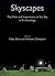 Skyscapes: The Role and Imp...