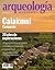 Calakmul, Campeche: 20 años de exploraciones  (Arqueología Mexicana, julio-agosto 2014, Volumen XXII, n. 128)
