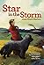 Star in the Storm (Aladdin Historical Fiction)