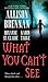 What You Can't See (Bullet Catcher, #3.5; Seven Deadly Sins, #.5)