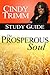The Prosperous Soul Study G...