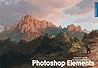 Beginner's Guide to Digital Painting in Photoshop Elements by David Smit