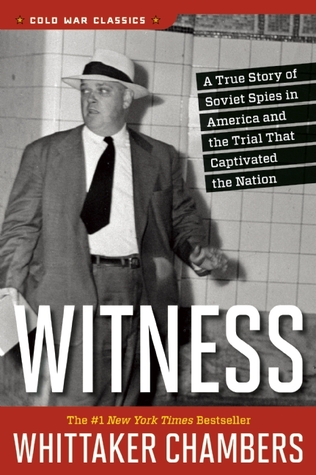 pdf download Witness