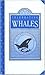 Celebrating Whales: An Introduction to Cetaceans