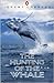 The Hunting of the Whale: A Tragedy That Must End
