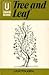 Tree and Leaf
