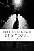 The Shadows of my Soul