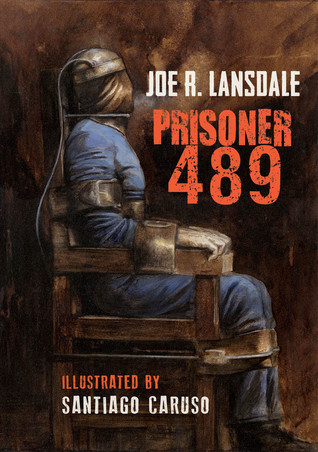 Prisoner 489 (Paperback)