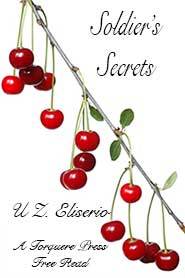 Soldier's Secrets