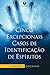 Cinco Excepcionais Casos de Identificação de Espíritos