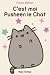C'est moi Pusheen le chat by Claire Belton