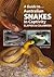 A Guide to Australian Snakes in Captivity: Elapids and Colubrids