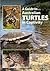 A Guide to Australian Turtles in Captivity