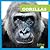 Gorillas (My First Animal Library)