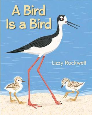 A Bird Is a Bird (Hardcover)
