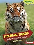 Siberian Tigers: Camouflaged Hunting Mammals