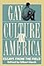 Gay Culture In America by Gilbert Herdt