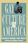 Gay Culture In America: Essays From the Field