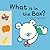 What is in the Box? (Step Up ― Math)