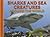 Sharks and Sea Creatures Around the World (Animals Around the World)