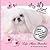 Diva Pearl Pekingese: Life After Show Biz for a Pekingese