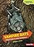 Vampire Bats: Nighttime Flying Mammals (Comparing Animal Traits)