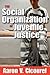 The Social Organization of Juvenile Justice