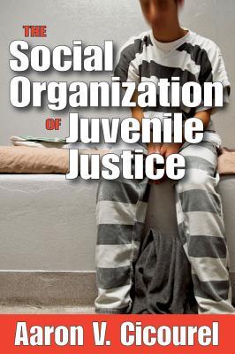 The Social Organization of Juvenile Justice (Paperback)