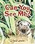 Can You See Me? (I Like to Read)
