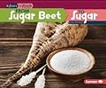 From Sugar Beet to Sugar