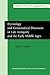 Etymology and Grammatical Discourse in Late Antiquity and the Early Middle Ages (Studies in the History of the Language Sciences)