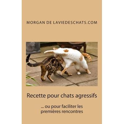 Recette Pour Chats Agressifs Ou Pour Faciliter Les Premieres Rencontres 2 Edition By Morgan De Laviedeschats Com