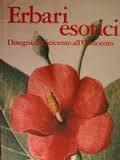 Erbari esotici. Disegni dal Seicento all'Ottocento